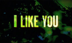 Hello, I Like You
